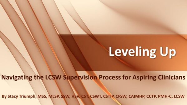 Maximize Your LCSW Supervision Experience: Insights and Strategies (Level 2) - Image 2